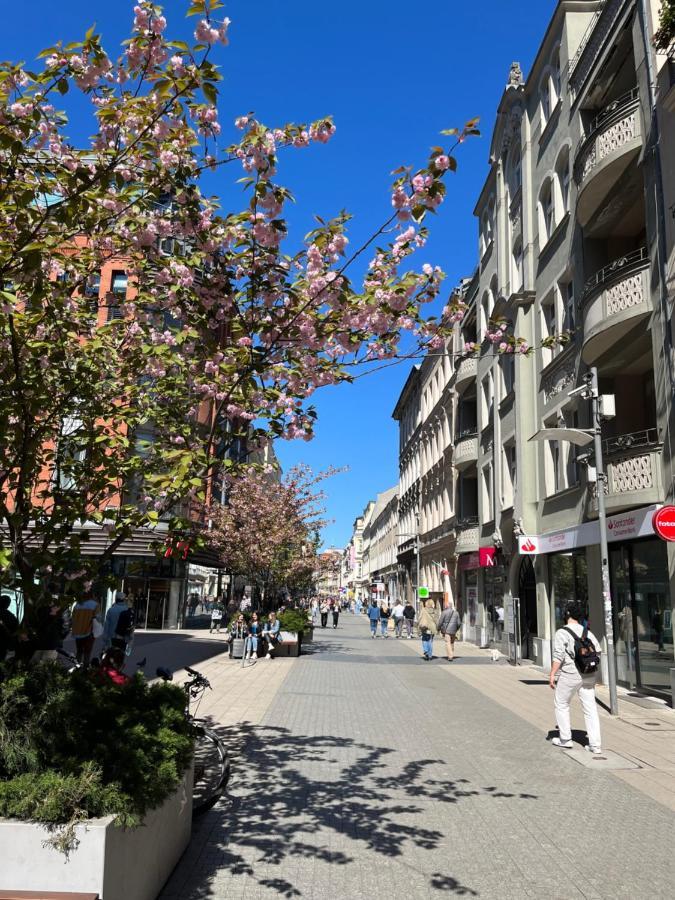Sloneczny Apartament Centrum Poznania Klimatyzacja Wi-Fi Tv Zmywarka Pralka Piekarnik Eksteriør billede